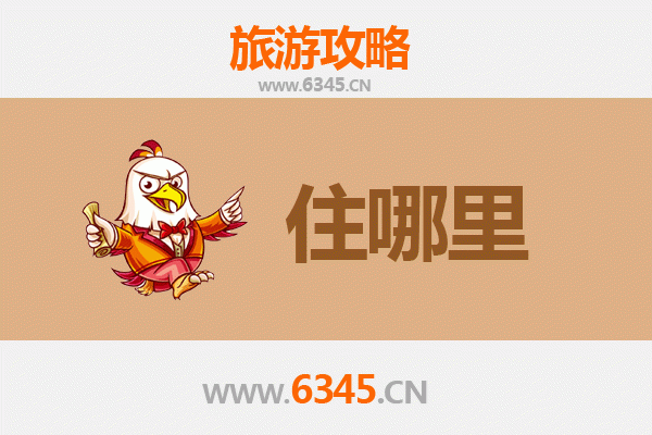 鹤壁浚县旅游民宿攻略：古韵新风，沉浸式体验大运河文化